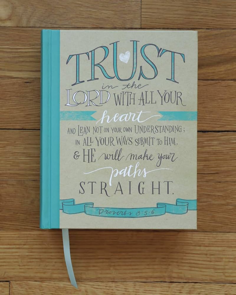 New International Version (NIV) Journaling Bible