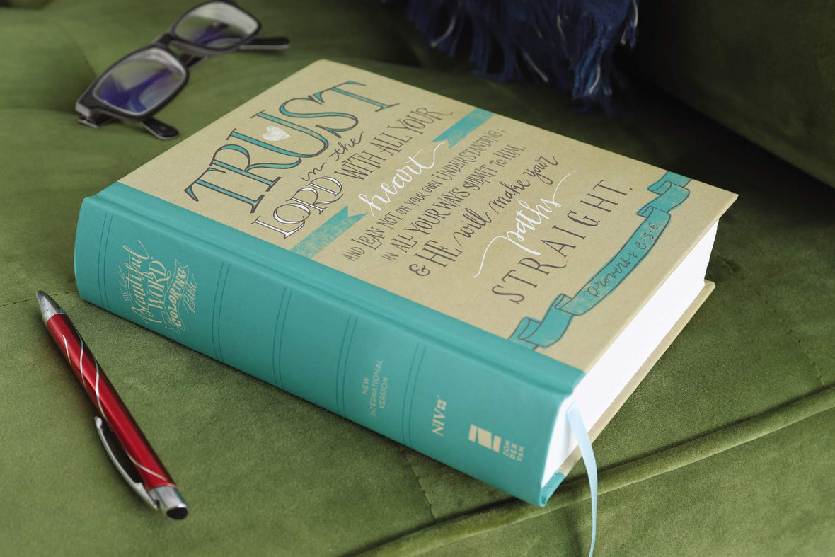 New International Version (NIV) Journaling Bible