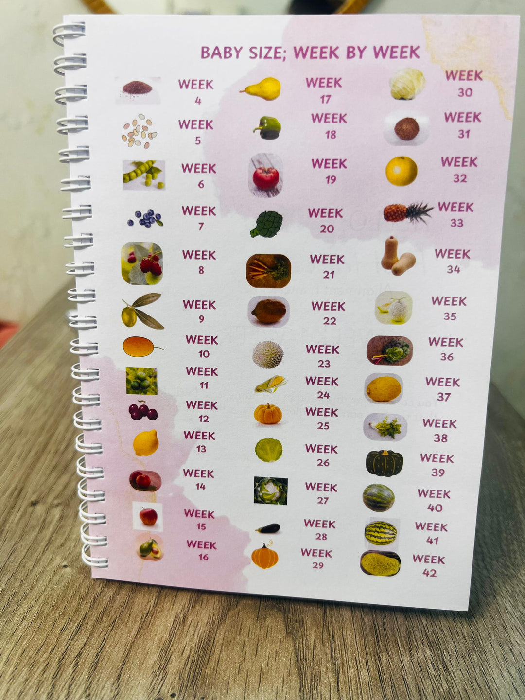 Pregnancy Prayer journal