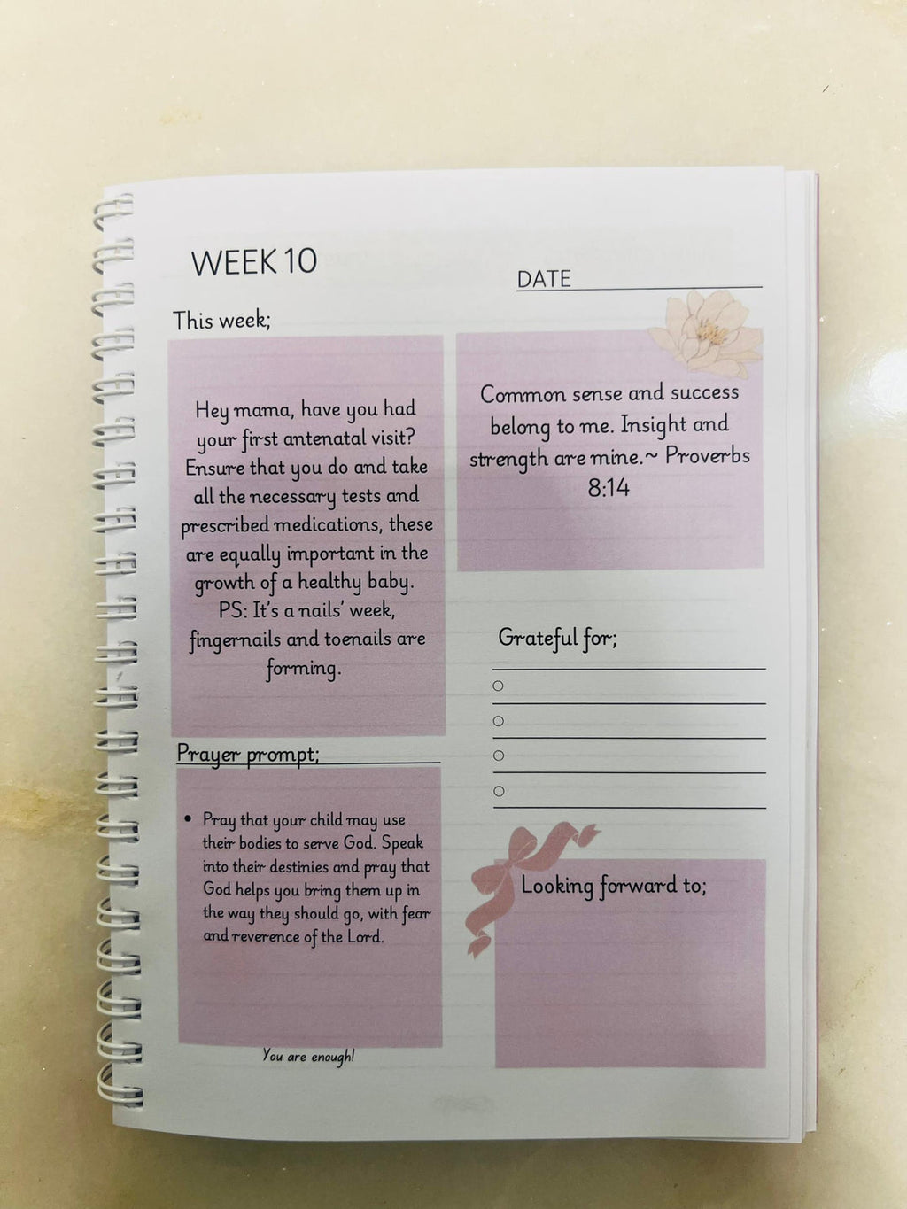Pregnancy Prayer journal