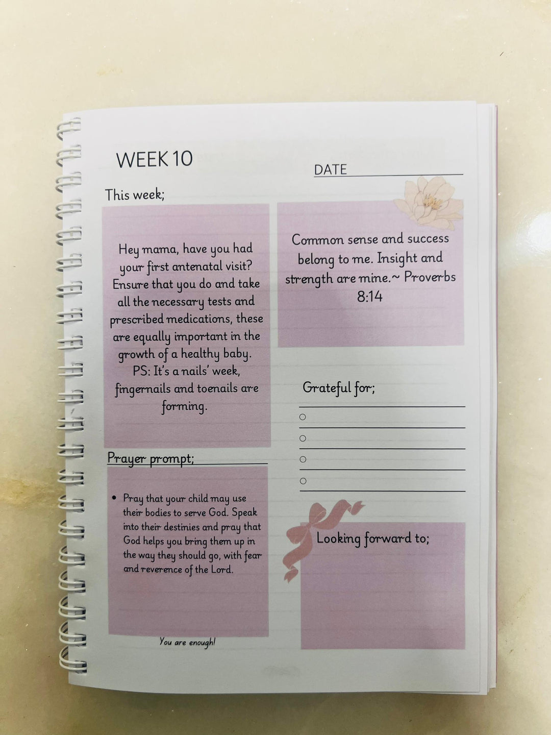 Pregnancy Prayer journal