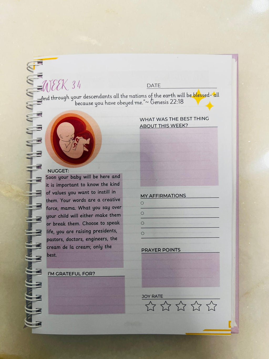 Pregnancy Prayer journal