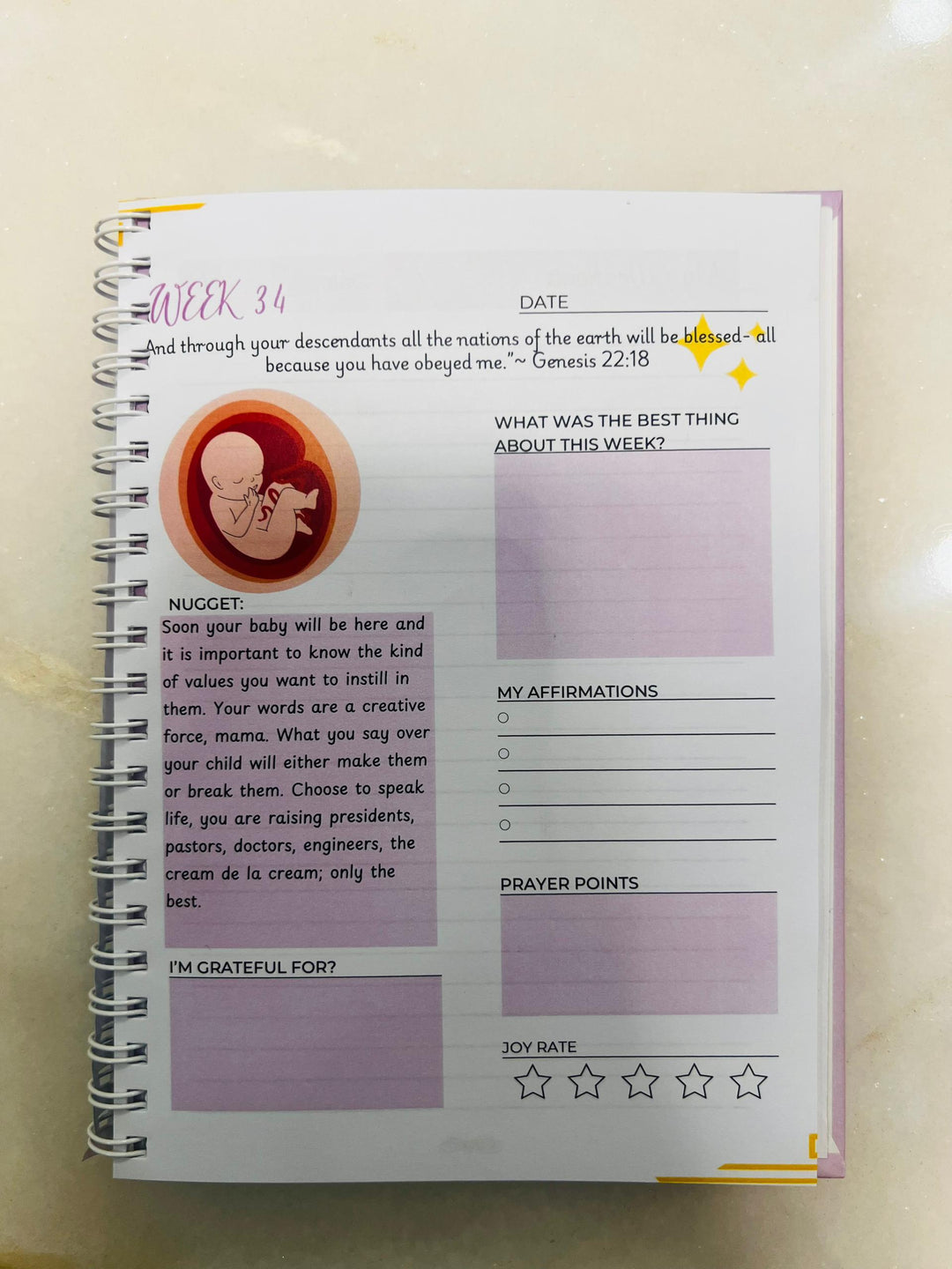 Pregnancy Prayer journal